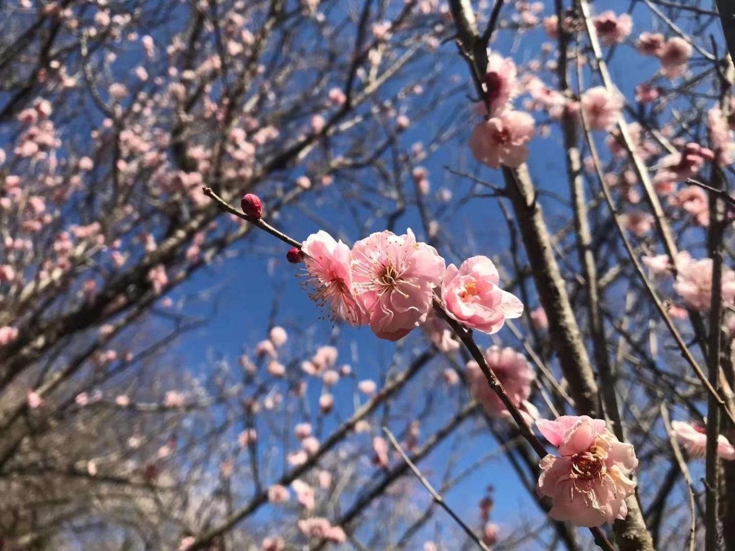 雅竹miyabitake Hotel Mijakami Kültér fotó